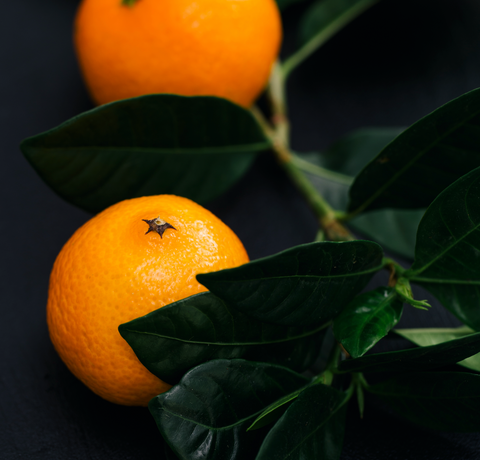 mandarin
