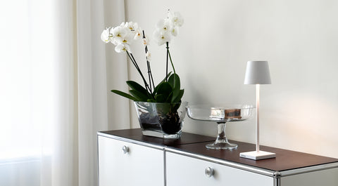 Premium Lederauflagen für USM Haller